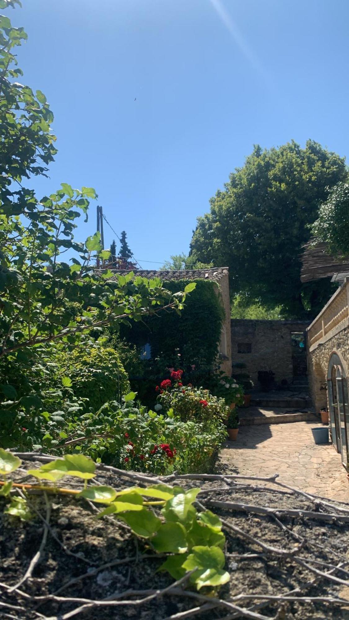 Les Citronniers * Saint-Montan