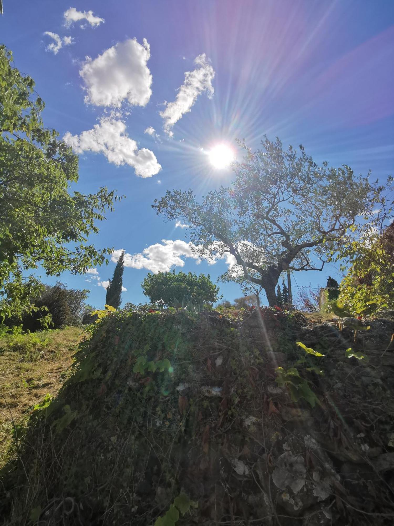 Les Citronniers Saint-Montan